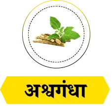 Herb 2