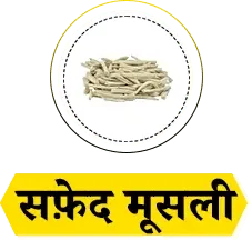 Herb 3