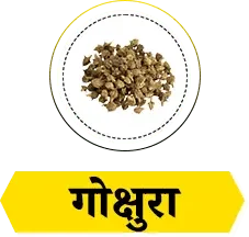 Herb 4